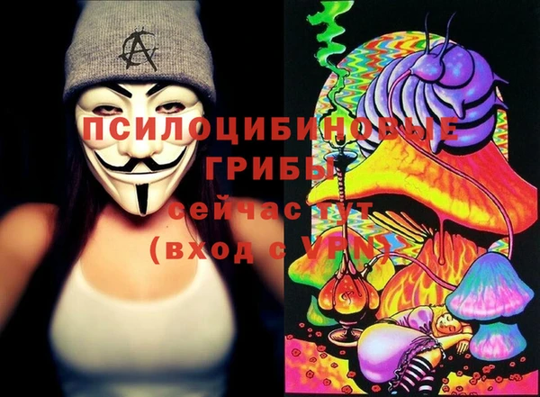 mdma Белокуриха